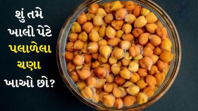 દાદીમા ઘણા સમયથી સવારે ખાલી પેટે પલાળેલા ચણા ખાવાની સલાહ આપી રહ્યા છે. તેને તમારા આહારનો ભાગ બનાવવાથી તમને ઘણા સ્વાસ્થ્ય લાભ થશે. આ એક સરળ પણ ખૂબ જ ફાયદાકારક આદત છે. પલાળેલા ચણામાં પ્રોટીન, ફાઇબર, વિટામિન અને ખનિજો સારી માત્રામાં જોવા મળે છે. જે શરીરને ઉર્જાવાન અને સ્વસ્થ રાખે છે. પલાળેલા ચણા ખાવાથી શરીરને સંપૂર્ણ પોષણ મળે છે અને તે એક સુપરફૂડ પણ છે.
