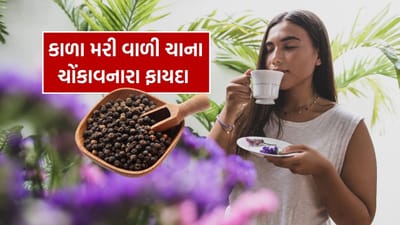 ભારતમાં અડધાથી વધુ લોકો ચાના શોખીન છે. જોકે, વધુ પડતી ચા સ્વાસ્થ્યને પણ નુકસાન પહોંચાડી શકે છે.