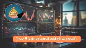 Bonus Share: ગુજરાતની કંપની 1 પર 5 આપશે બોનસ શેર,આવતીકાલે રેકોર્ડ ડેટ Bonus Share: ગુજરાતની કંપની 1 પર 5 આપશે બોનસ શેર,આવતીકાલે રેકોર્ડ ડેટ