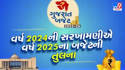 Budget Analysis: 2024ની સરખામણીએ ગુજરાતને 2025માં વધારે શું મળ્યું છે, આ વખતનું બજેટ છે અલગ