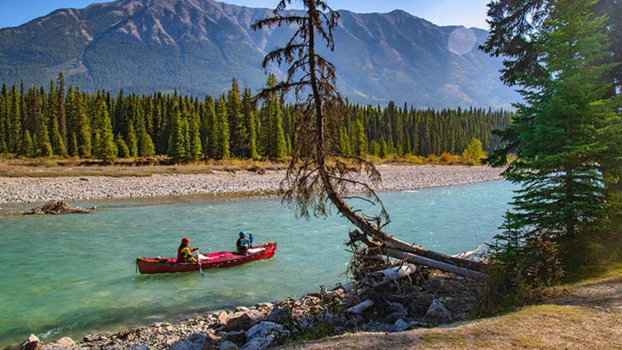 કુટેનેય રાષ્ટ્રીય ઉદ્યાન: કુટેનેય રોકીઝમાં એક કુદરતી રત્ન છે. આ ઉદ્યાન તેના ગરમ પાણીના ઝરણા, ખીણો અને પર્વતીય દૃશ્યો માટે પ્રખ્યાત છે. વન્યજીવન પ્રેમીઓ વિવિધ ઇકોસિસ્ટમ્સનું અન્વેષણ કરી શકે છે.