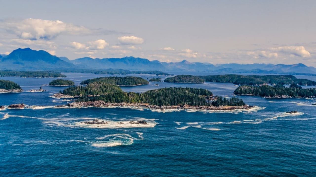 પેસિફિક રિમ નેશનલ પાર્ક રિઝર્વ: આ દરિયાકાંઠાનું સ્વર્ગ તેના કઠોર દરિયાકિનારા, લીલાછમ વરસાદી જંગલો અને નાટકીય ભરતી માટે જાણીતું છે. પેસિફિક રિમ શાંત વાતાવરણ આપે છે, જે બીચ વોક અને વ્હેલ જોવા માટે યોગ્ય છે.