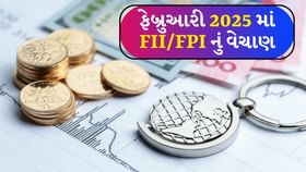 બજેટ દિવસે FIIનું વેચાણ: ફેબ્રુઆરી 2025 માર્કેટ વિશ્લેષણ