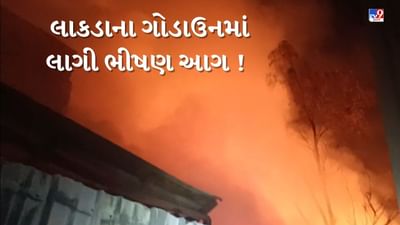 Ahmedabad : નારોલ પાસે આવેલા લાકડાના ગોડાઉનમાં લાગી ભીષણ આગ, જુઓ Video