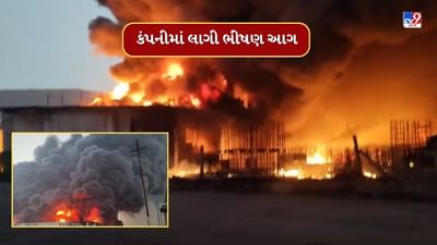 Bharuch: ટાઈમાઉઝર નામની કંપનીમાં લાગી ભીષણ આગ, પ્લાન્ટ બળીને ખાખ, જુઓ Video Bharuch: ટાઈમાઉઝર નામની કંપનીમાં લાગી ભીષણ આગ, પ્લાન્ટ બળીને ખાખ, જુઓ Video