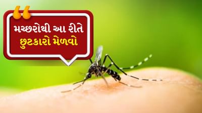 વરસાદની ઋતુમાં મચ્છરોનો ત્રાસ ઘણો વધી જાય છે. તેનાથી બચવા માટે લોકો બજારમાંથી ઘણી મોંઘી વસ્તુઓ ખરીદે છે, છતાં પણ મચ્છર મરતા નથી. જો તમે પણ મચ્છરોથી પરેશાન છો, તો આ સમાચાર તમારા માટે છે. આજે અમે તમને કેટલીક ટિપ્સ જણાવીશું જેની મદદથી તમે મચ્છરોનું જોખમ ઘટાડી શકો છો. ચાલો તેમના વિશે જાણીએ.