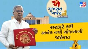 Gujarat Budget : ગુજરાત બજેટમાં સરકારે કરી અનેક નવી યોજનાની લહાણી