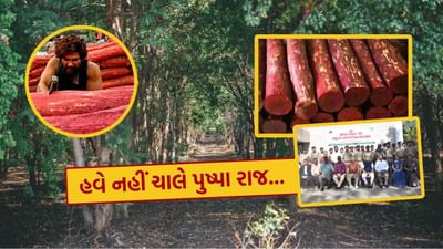 સાપુતારા ખાતે તોરણ હિલ રિસોર્ટમાં રાજ્યના વન, પર્યાવરણ, ક્લાઈમેટ ચેન્જ, જળસંપત્તિ અને પાણી પુરવઠા મંત્રી મુકેશ પટેલના અધ્યક્ષસ્થાને એક મહત્વપૂર્ણ ઇન્ટર સ્ટેટ અને યુનીયન ટેરિટરી ફોરેસ્ટ પ્રોટેકશન બેઠક યોજાઈ. આ બેઠકમાં ગુજરાત, મહારાષ્ટ્ર, દમણ અને દીવ, દાદરા નગર હવેલીના ઉચ્ચ વન અધિકારીઓ સાથે પર્યાવરણ સંરક્ષણ અને વન સંરક્ષણ અંગે વિગતવાર ચર્ચા કરવામાં આવી.
