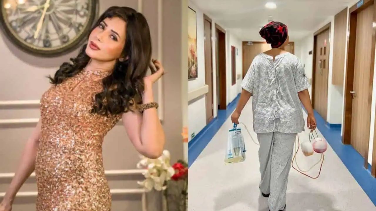 Hina Khan Medical Report : રોઝલીન ખાને હિના ખાનને કરી Expose! શું સ્ટેજ 3 કેન્સર હોવાના સમાચાર ખોટા છે ?