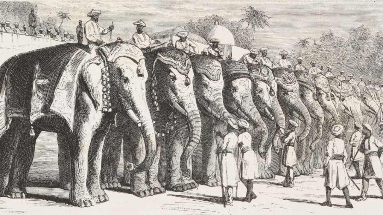 આજે, વડોદરાને 'સંસ્કારી નગરી' અથવા 'સંસ્કૃતિનું શહેર' તરીકે ઓળખવામાં આવે છે, જે તેના જીવંત સાંસ્કૃતિક લેન્ડસ્કેપ અને ઐતિહાસિક મહત્વને કારણે પ્રાપ્ત થયું છે. તે ગુજરાતની સાંસ્કૃતિક રાજધાની, કલા, સંગીત અને બૌદ્ધિક પ્રવૃત્તિઓના કેન્દ્ર તરીકે એક વિશેષ સ્થાન ધરાવે છે. ( Credits: Getty Images )