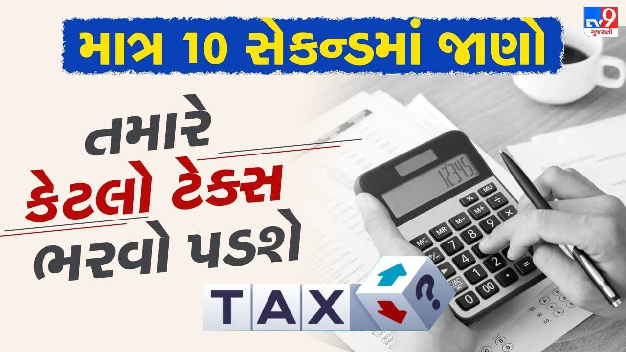 Budget Tax Calculation: Learn how much you have to fill in just 10 seconds