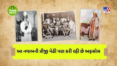 ભારતના આ નવાબે પાકિસ્તાનમાં સામેલ થવાનું પસંદ કર્યુ અને ત્યાં ગયા બાદ ખતમ થઈ ગઈ તેની બધી નવાબિયત, આજે ત્રીજી પેઢી પણ કરી છે અફસોસ