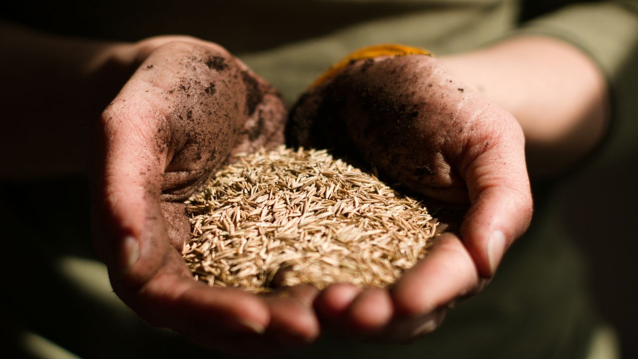 જીરું અને અજમાનું પાણી ખરાબ કોલેસ્ટ્રોલનું સ્તર ઘટાડવામાં અસરકારક સાબિત થઈ શકે છે. આ ઉપરાંત, સારા કોલેસ્ટ્રોલનું સ્તર પણ વધી શકે છે. ( Credits: unsplash )