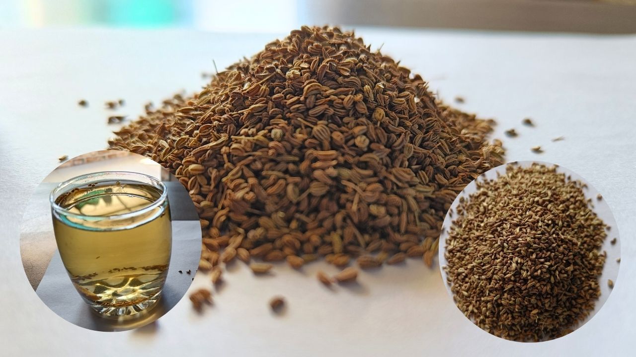 નોંધ : આ લેખ માત્ર જાણકારી માટે છે. તેનો ઉપયોગ પુર્વે આપ આપના તબીબ અથવા તજજ્ઞોની સલાહ ખાસ લેવી જરૂરી છે.  