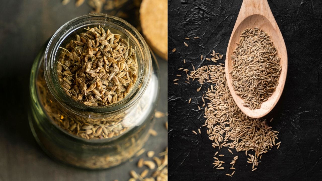જીરું અને અજમાનું નિયમિત સેવન તમારા પાચનમાં સુધારો કરી શકે છે. તે મુખ્યત્વે પેટમાં ગેસ, પેટનું ફૂલવું અને અપચો ઘટાડી શકે છે. તે કબજિયાતની સમસ્યા ઘટાડવામાં પણ ખૂબ અસરકારક છે. ( Credits: freepix )