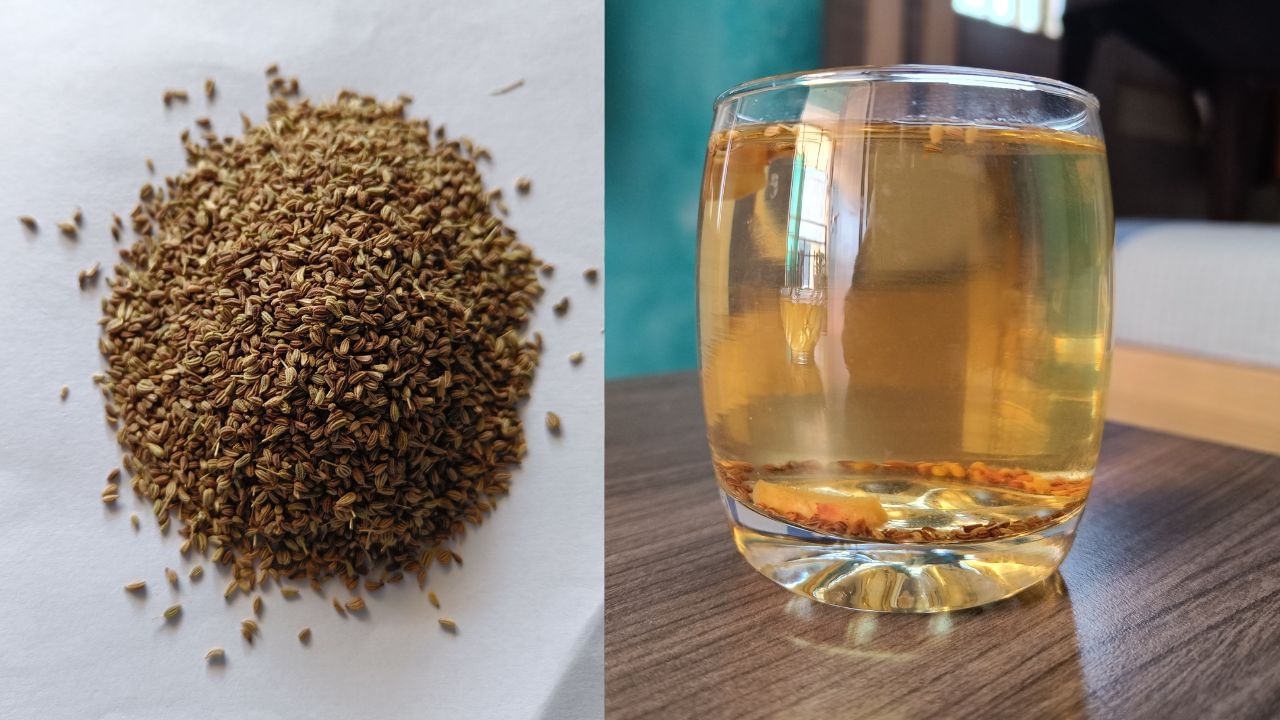 જીરું અને અજમાનું પાણી પીવાથી આપણી રોગપ્રતિકારક શક્તિ મજબૂત બને છે. એન્ટી-ઓક્સિડન્ટથી ભરપૂર, આ પીણું કોઈપણ પ્રકારના ચેપ સામે ઢાલ તરીકે કામ કરે છે.