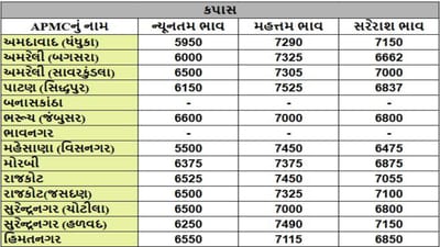 કપાસના તા.05-02-2025ના રોજ APMCના ભાવ રૂ.5500 થી 7525 રહ્યા.