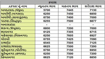 કપાસના તા.24-02-2025ના રોજ APMCના ભાવ રૂ.5700 થી 7605 રહ્યા.