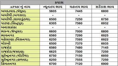 કપાસના તા.25-02-2025ના રોજ APMCના ભાવ રૂ.5605 થી 7595 રહ્યા.