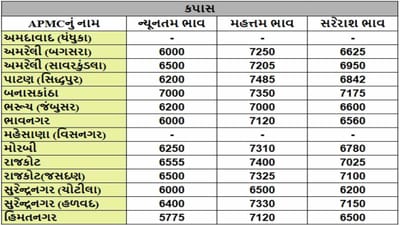 કપાસના તા.06-02-2025ના રોજ APMCના ભાવ રૂ.5775 થી 7485 રહ્યા.