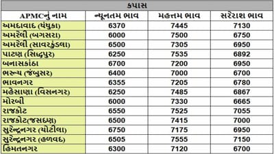 કપાસના તા.10-02-2025ના રોજ APMCના ભાવ રૂ.6000 થી 7555 રહ્યા.