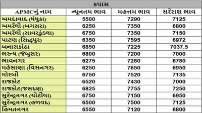 કપાસના તા.17-02-2025ના રોજ APMCના ભાવ રૂ.5500 થી 7755 રહ્યા.
