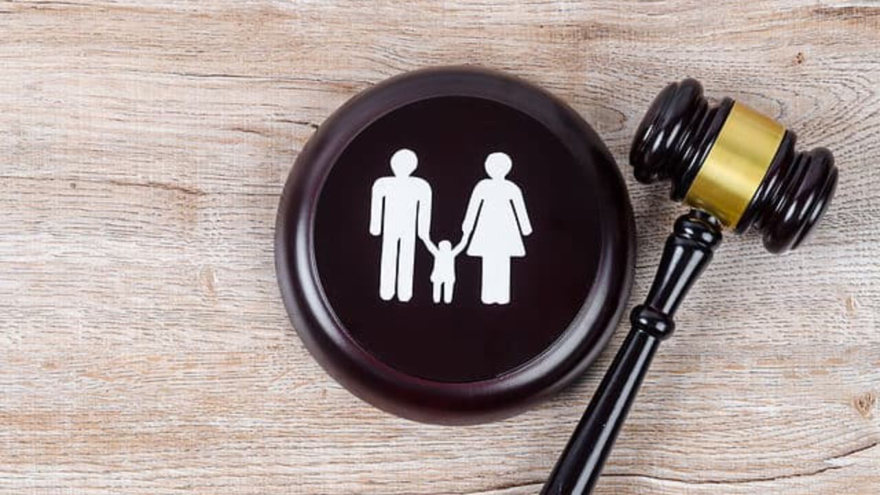 કોર્ટ કયા પરિબળોને આધારે કસ્ટડીનો નિર્ણય લે છે? : કસ્ટડીનો નિર્ણય લેતી વખતે કેટલાક મુદ્દાઓ ધ્યાનમાં રાખે છે. બાળકની ઉંમર અને માનસિક સ્થિતિ, માતાપિતાની આર્થિક સ્થિતિ અને લાઈફસ્ટાઈલ, માતાપિતાનું ચારિત્ર્ય અને ગુનાહિત રેકોર્ડ, બાળકોનું શિક્ષણ અને ભવિષ્યની સંભાવનાઓ, બાળકને કયા માતાપિતા સાથે ભાવનાત્મક લગાવ વધુ હોય છે?, શું માતાપિતા બાળકને સ્વસ્થ વાતાવરણ પૂરું પાડી શકે છે? આ મુદાઓને કોર્ટ ધ્યાનમાં લેશે.