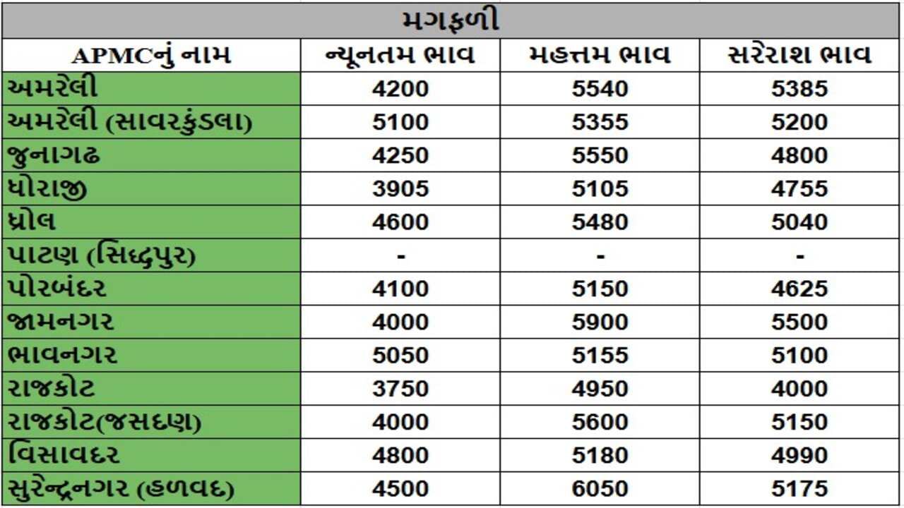 મગફળીના તા.24-02-2025ના રોજ APMCના ભાવ રૂ.3750 થી 6050 રહ્યા.
