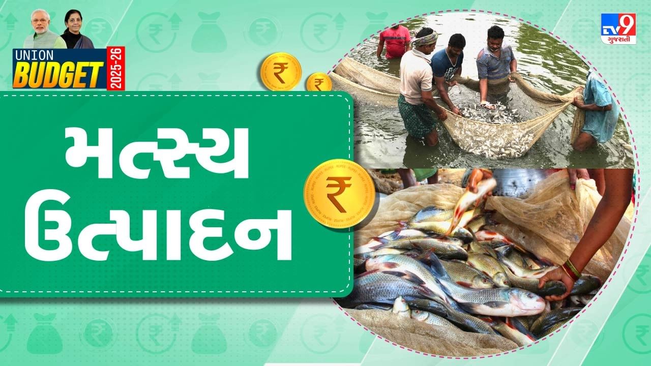 Budget 2025 : સી ફૂડ ઉદ્યોગને મળશે નવી ગતિ…માછીમારો માટે ખાસ ઇકોનોમી ઝોનની જાહેરાત