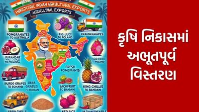 ભારતે કૃષિ ઉત્પાદનના નિકાસમાં રચ્યો ઈતિહાસ, પ્રથમવાર આ ઉત્પાદનો કરાયા વિદેશમાં નિકાસ, જુઓ List