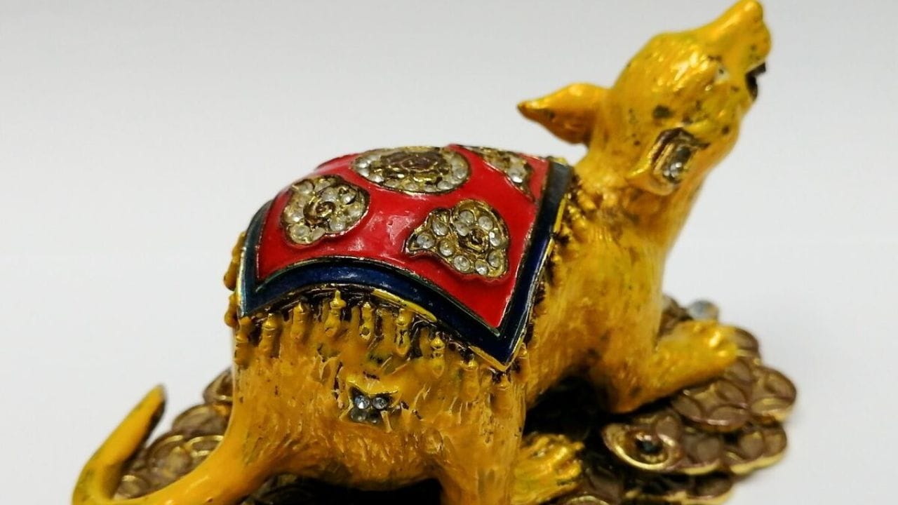 આપણા ધાર્મિક શાસ્ત્રો અનુસાર, નોળિયાને ધનના દેવતા ભગવાન કુબેરનું વાહન માનવામાં આવે છે. જે ખૂબ જ શુભ છે તે બતાવવું. જો તમે ક્યાંક જઈ રહ્યા હોવ ત્યારે કોઈ નોળિયા તમારા રસ્તાને ઓળંગી જાય, અથવા તમે તેને જુઓ, તો તેનો અર્થ એ છે કે તમે જે કાર્ય કરવા જઈ રહ્યા છો તે શુભ રહેશે. ભલે તે કોર્ટમાં જતી વખતે જોવામાં આવે કે નોકરી માટે જતી વખતે.
