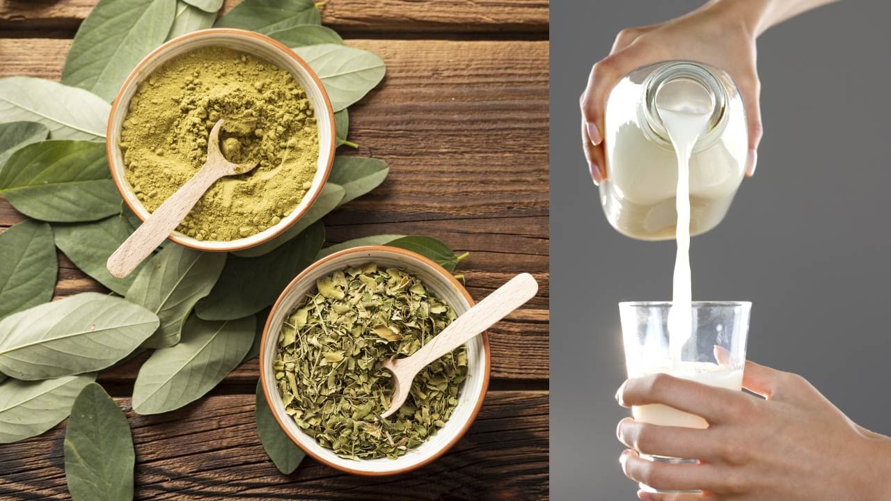 ઘણા લોકો સરગવાની શાક બનાવીને ખાય છે, જ્યારે કેટલાક લોકોને સરગવાનો રસ પીવાનું ગમે છે. આ ઉપરાંત ઘણા લોકો સરગવાના પાવડરનું પણ સેવન કરે છે. સરગવાનો પાવડર ચયાપચય(metabolism) અને પાચનતંત્ર માટે ફાયદાકારક છે. 