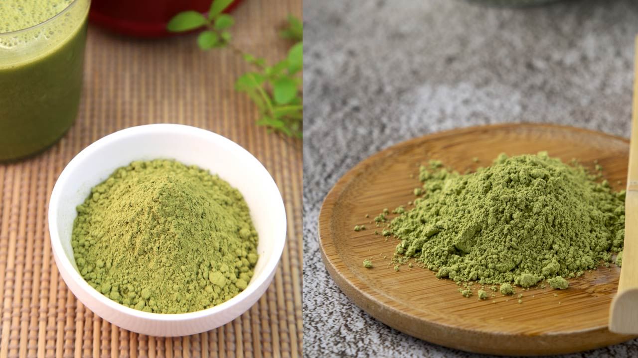 વજન ઘટાડવામાં ફાયદાકારક : જો તમે વજન ઘટાડવા માંગો છો તો તમે સરગવાના પાવડરનું સેવન કરી શકો છો. આ પાવડરમાં ફાઇબરની માત્રા વધુ હોય છે, જે વજન ઘટાડવામાં મદદ કરે છે (Moringa Powder for Weight Loss). વજન ઘટાડવા માટે તમે આ પાવડરને દરરોજ દૂધ સાથે લઈ શકો છો. જો તમે દરરોજ દૂધ સાથે સરગવાના પાવડરનું સેવન કરો છો તો તે વજન ઘટાડવામાં મદદ કરશે.