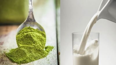 દૂધ સાથે સરગવાનો પાવડર પીવાના ગજબના ફાયદા : આયુર્વેદમાં સરગવાને ઔષધીય ગુણોથી ભરપૂર કહેવામાં આવે છે. તેનો ઉપયોગ વિવિધ સ્વાસ્થ્ય સમસ્યાઓના ઉપચાર માટે થાય છે. સરગવો પ્રોટીન, આયર્ન, કેલ્શિયમ, પોટેશિયમ અને મેગ્નેશિયમનો સારો સ્ત્રોત છે. આ ઉપરાંત, સરગવામાં ફાઇબર અને વિટામિન્સ પણ ભરપૂર માત્રામાં હોય છે.