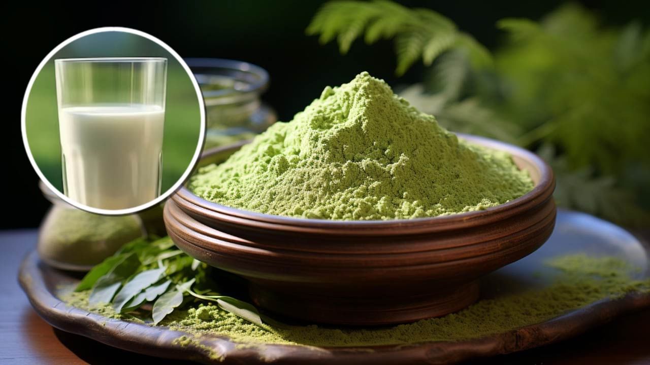 દૂધ સાથે સરગવાનો પાવડર કેવી રીતે પીવો? : તમે દૂધ સાથે સરગવાના પાવડરનું સેવન કરી શકો છો. આ માટે એક ગ્લાસ દૂધ લો. તેમાં એક ચમચી સરગવાનો પાવડર ઉમેરો પછી તેનું મિક્સ કરી આ દૂધ પી લો. તમે સાંજે કે રાત્રે સરગવાનું દૂધ સેવન કરી શકો છો. થોડા દિવસ સુધી દરરોજ આ દૂધ પીવાથી ઘણી સમસ્યાઓ દૂર થાય છે. ( નોંધ : આ લેખ માત્ર જાણકારી માટે છે. તેનો ઉપયોગ પુર્વે આપ આપના તબીબ અથવા તજજ્ઞોની સલાહ ખાસ લેવી જરૂરી છે. ) ( Credits: Getty Images & freepix )