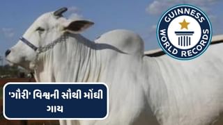 Most Expensive Cow : ગુજરાતમાં ઉછેરવામાં આવેલી ‘ગૌરી’ ગાયે તોડ્યો વિશ્વ રેકોર્ડ, 1 ,2 નહિ પરંતુ 40 કરોડ રૂપિયામાં વેચાઈ