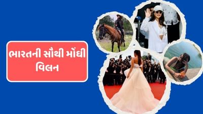 ફિલ્મ ઈન્ડસ્ટ્રીમાં હવે હીરો કરતાં વધુ દિગ્દર્શકો વિલનને કાસ્ટ કરવા વિશે વિચારતા જોવા મળે છે. છેલ્લા કેટલાક વર્ષોમાં ઈન્ડસ્ટ્રીમાં વિલનની પકડ ઘણી મજબૂત બની છે. બોબી દેઓલ,સંજય દત્ત અને જેકી શ્રોફ જેવા માટા સ્ટાર હવે વિલનના પાત્રમાં જોવા મળી રહ્યા છે. બોલિવુડ અભિનેતા બાદ હવે બોલિવુડ અભિનેત્રી વિલનના પાત્રની તૈયારી કરી રહી છે.