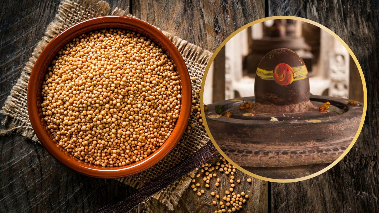 આ માટે તમારે પહેલા સારી રીતે સ્નાન કરવું પડશે. આ પછી તમારે પૂજા થાળીને સરસ રીતે સજાવવી પડશે.હવે તેમાં પીળી સરસવ નાખો અને તેને મંદિરમાં લઈ જાઓ. આ પછી, ભગવાન શિવને જળાભીષેક કરાવ્યા પછી, આ પીળી સરસવ ભગવાન શિવને અર્પણ કરો.આ અર્પણ કરવાથી તમારા ઘરમાંથી બધી નકારાત્મકતા દૂર થઈ જશે. ઉપરાંત, ભગવાન શિવના આશીર્વાદ તમારા પર રહેશે. ( Credits: Getty Images )