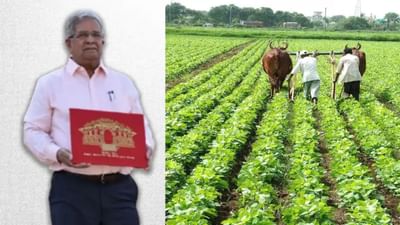 ગુજરાત સરકારના બજેટમાં ખેડૂતો માટે ખાસ પ્રાવધાન,ધરતીપુત્રોને ફાળવવામાં આવ્યું કરોડોનું ફંડ