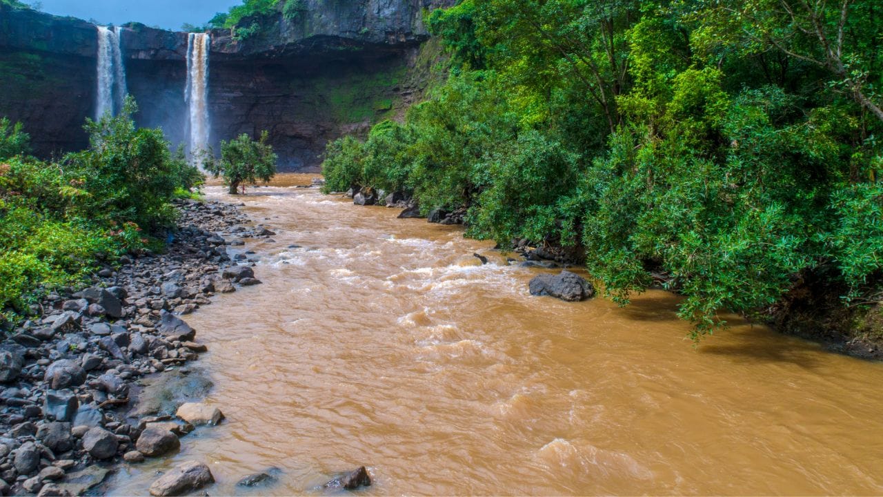 સાપુતારા પ્રકુતિ પ્રેમીઓ માટે બેસ્ટ ડેસ્ટિનેશન છે. આ ટુરિસ્ટ પ્લેસ લોકોને ઈતિહાસ અને સંસ્કૃતિ સાથે પણ જોડી લે છે. સાપુતારા હિલ સ્ટેશનથી લગભગ 1.5 કિમી દૂર આવેલું છે અને તેને સાપુતારા સૌથી પ્રખ્યાત પિકનિક સ્થળોમાંનું એક માનવામાં આવે છે. 