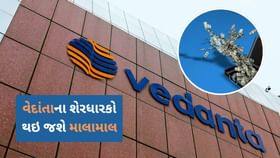 Vedanta Share:અનિલ અગ્રવાલની કંપની વેદાંતામાં આજે લેવાશે મોટો નિર્ણય Vedanta Share:અનિલ અગ્રવાલની કંપની વેદાંતામાં આજે લેવાશે મોટો નિર્ણય