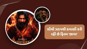 'છાવા' વિકી કૌશલની સૌથી હિટ ફિલ્મ બની 'છાવા' વિકી કૌશલની સૌથી હિટ ફિલ્મ બની