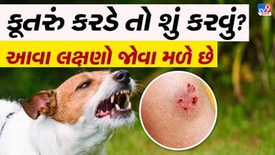 What to Do If A Dog Bites You : દરરોજ આવા હૃદયદ્રાવક સમાચાર પ્રકાશમાં આવી રહ્યા છે જેમાં રખડતા કૂતરાઓ માસૂમ બાળકોને કરડે છે અથવા તેમના પર હુમલો કરે છે. થોડા સમય પહેલા વિસ્તારના રખડતા કૂતરાઓ દ્વારા એક માસૂમ બાળકને કરડીને મારવાનો કિસ્સા પ્રકાશમાં આવ્યા હતા. આજકાલ તમે સમાચારોમાં વાંચ્યું અને જોયું જ હશે કે શેરીના કૂતરા ખૂબ જ આક્રમક બની ગયા છે (First Aid For Dog Bite), જેના કારણે તેઓ દરરોજ કોઈને કોઈને નિશાન બનાવી રહ્યા છે.
