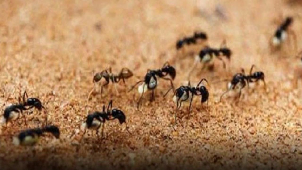 જીવનમાં સારા સમયની શરૂઆત પહેલાં મળે છે આ ખાસ સંકેતો 3 good time