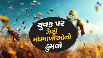 Patan : ડિંડરોળ ગામમાં યુવક પર ઝેરી મધમાખીઓનો હુમલો, 100થી વધુ મધમાખીઓએ માર્યા ડંખ, જુઓ Video