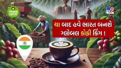 હવે એ દિવસ બહુ દૂર નથી જ્યારે વિશ્વભરને પોતાની ચાની ચુસ્કીનું ઘેલુ લગાડનાર ભારત કોફીમાં પણ ગ્લોબલ કોફી કિંગ બની જશે
