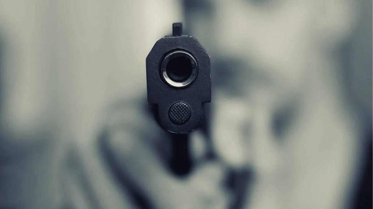 તમને જણાવી દઈએ તો ત્રણ પ્રકારની પિસ્તોલ છે, જેમાં ઓટોમેટિક, સિંગલ શોટ, મલ્ટી ચેમ્બરનો સમાવેશ થાય છે. જ્યારે ઓટોમાં સેમી ઓટોમેટિક અને ફુલ ઓટોમેટિકનો સમાવેશ થાય છે. જ્યારે રિવોલ્વરમાં સ્વિંગ આઉટ, ટોપ બ્રેક, ફિક્સ્ડ સિલિન્ડર વગેરેનો સમાવેશ થાય છે.