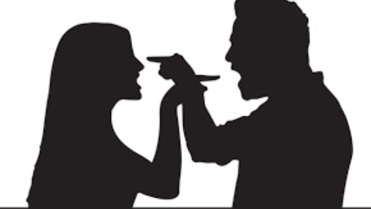 ઘરેલુ હિંસા અને ક્રૂરતા : પહેલાની કલમ: IPC 498A અને અત્યારે કલમ (BNS કલમ 85) મુજબ જો કોઈ મહિલા લિવ-ઇન રિલેશનશિપમાં માનસિક, શારીરિક અથવા આર્થિક રીતે ત્રાસ આપતી હોય તો તે આ કલમ હેઠળ કેસ દાખલ કરી શકે છે. આ ઘટના સાથે આ કેસ જોડાયેલો છે. Indra Sarma v. V.K.V. Sarma (2013) – કોર્ટે ઘરેલુ હિંસા કાયદા હેઠળ લિવ-ઇન રિલેશનશિપમાં રહેતી મહિલાને રક્ષણ આપ્યું છે.
