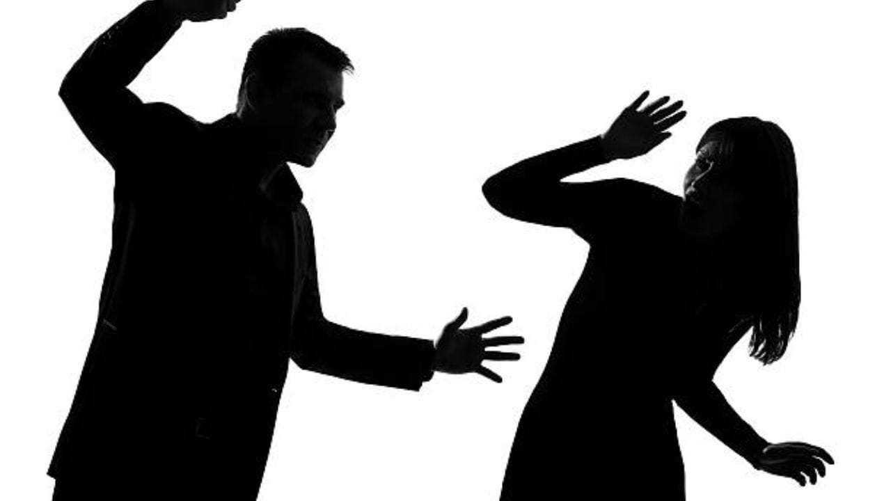 જાળવણી : પહેલાની કલમ-CrPC 125 અને અત્યારની કલમ BNS કલમ 136 મુજબ જો પુરુષ લિવ-ઇન રિલેશનશિપ પછી સ્ત્રીને છોડી દે અને તે આર્થિક રીતે આશ્રિત હોય તો તે ભરણપોષણ માટે કેસ દાખલ કરી શકે છે. આ ઘટના સાથે આ કેસ જોડાયેલો છે. Chanmuniya v. Virendra Kumar Singh Kushwaha (2011) – કોર્ટે કહ્યું કે લાંબા લિવ-ઇન રિલેશનશિપમાં સ્ત્રીને પત્ની જેવા અધિકારો મળવા જોઈએ.
