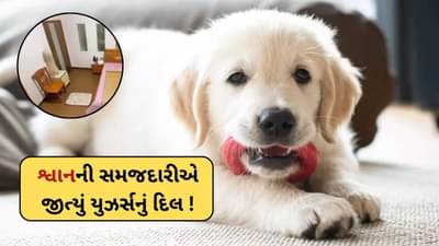 Viral Video : શ્વાનની સમજદારીએ જીત્યું દિલ ! માલિકના ગયા બાદ કર્યુ એવું કે વખાણ કરવા લાગ્યા લોકો
